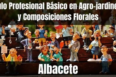 Aprende el Título Profesional Básico en Agro-jardinería y Composiciones Florales de Albacete