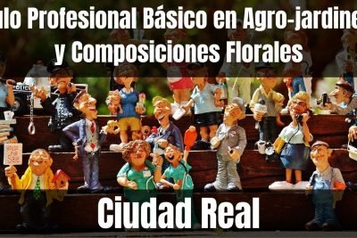 Aprende el Título Profesional Básico en Agro-jardinería y Composiciones Florales de Ciudad Real