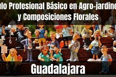 Aprende el Título Profesional Básico en Agro-jardinería y Composiciones Florales de Guadalajara