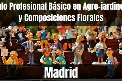 Aprende el Título Profesional Básico en Agro-jardinería y Composiciones Florales de Madrid