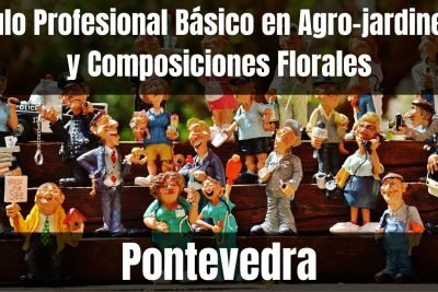 Aprende el Título Profesional Básico en Agro-jardinería y Composiciones Florales de Pontevedra