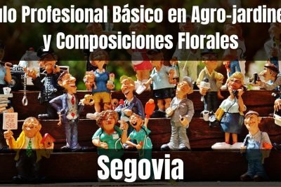 Aprende el Título Profesional Básico en Agro-jardinería y Composiciones Florales de Segovia