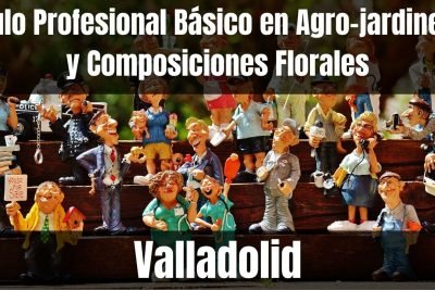 Aprende el Título Profesional Básico en Agro-jardinería y Composiciones Florales de Valladolid
