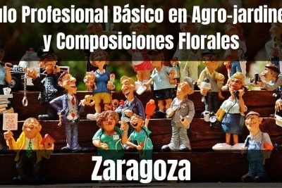 Aprende el Título Profesional Básico en Agro-jardinería y Composiciones Florales de Zaragoza