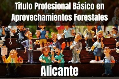 Aprende el Título Profesional Básico en Aprovechamientos Forestales de Alicante