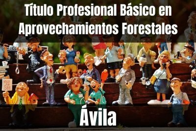 Aprende el Título Profesional Básico en Aprovechamientos Forestales de Ávila