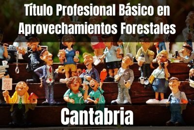 Aprende el Título Profesional Básico en Aprovechamientos Forestales de Cantabria