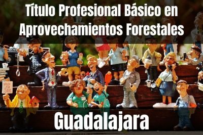 Aprende el Título Profesional Básico en Aprovechamientos Forestales de Guadalajara