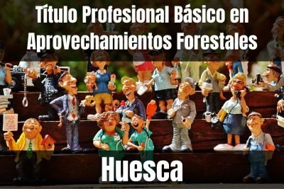 Aprende el Título Profesional Básico en Aprovechamientos Forestales de Huesca