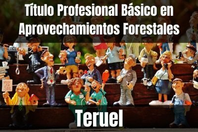 Aprende el Título Profesional Básico en Aprovechamientos Forestales de Teruel
