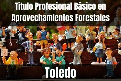 Aprende el Título Profesional Básico en Aprovechamientos Forestales de Toledo