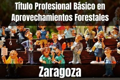 Aprende el Título Profesional Básico en Aprovechamientos Forestales de Zaragoza