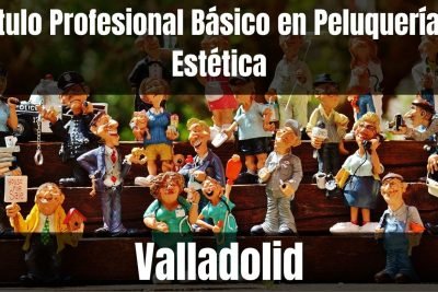 Aprende el Título Profesional Básico en Peluquería y Estética de Valladolid