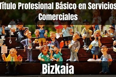 Aprende el Título Profesional Básico en Servicios Comerciales de Bizkaia